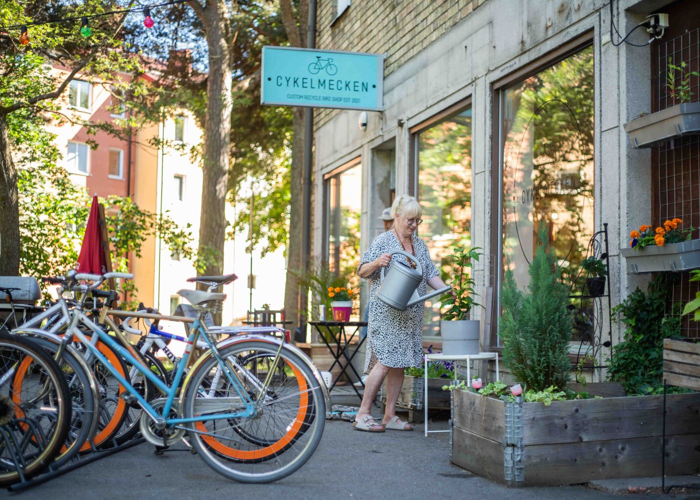 Äldre kvinna vattnar blommorna i planteringslådorna utanför Cykelmeckens butik, med cyklar parkerade bredvid och den turkosa skylten ovanför